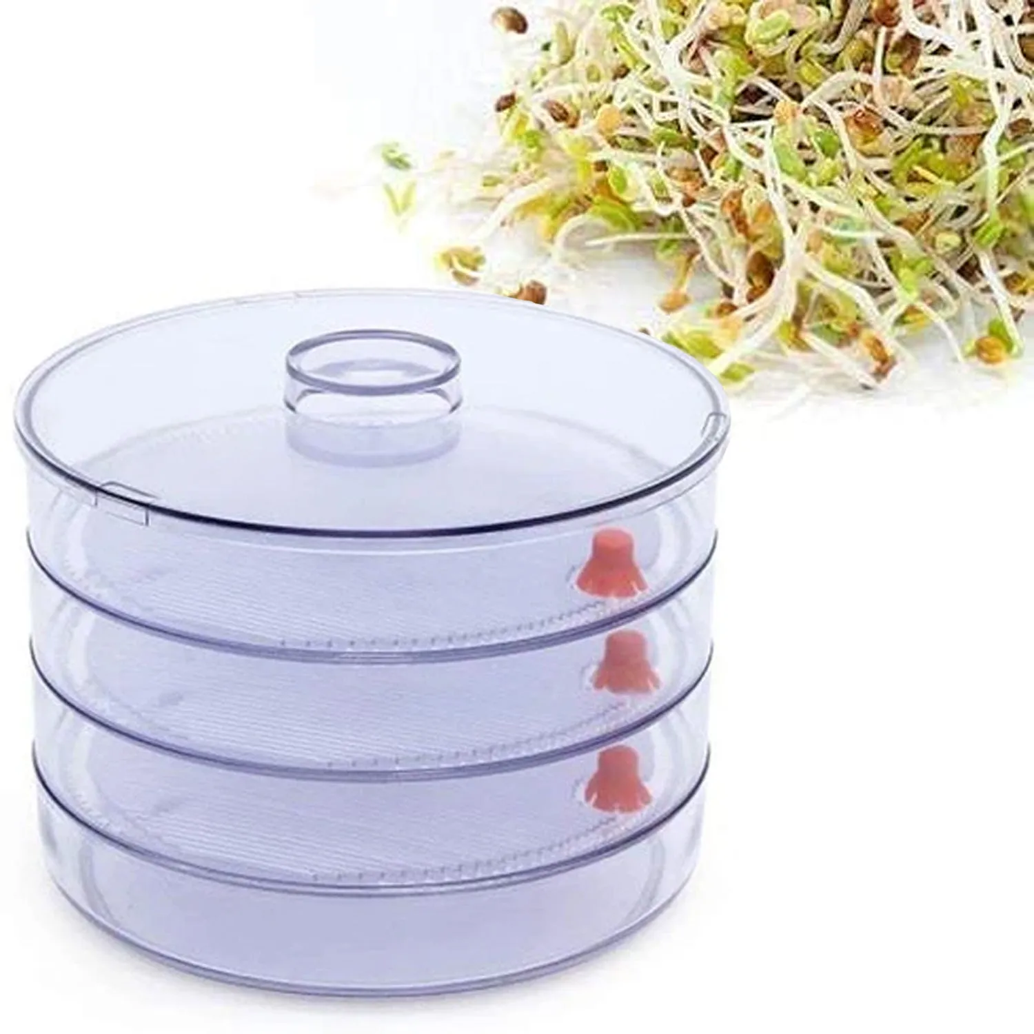 070 Plastic 4 Compartment Sprout Maker, White