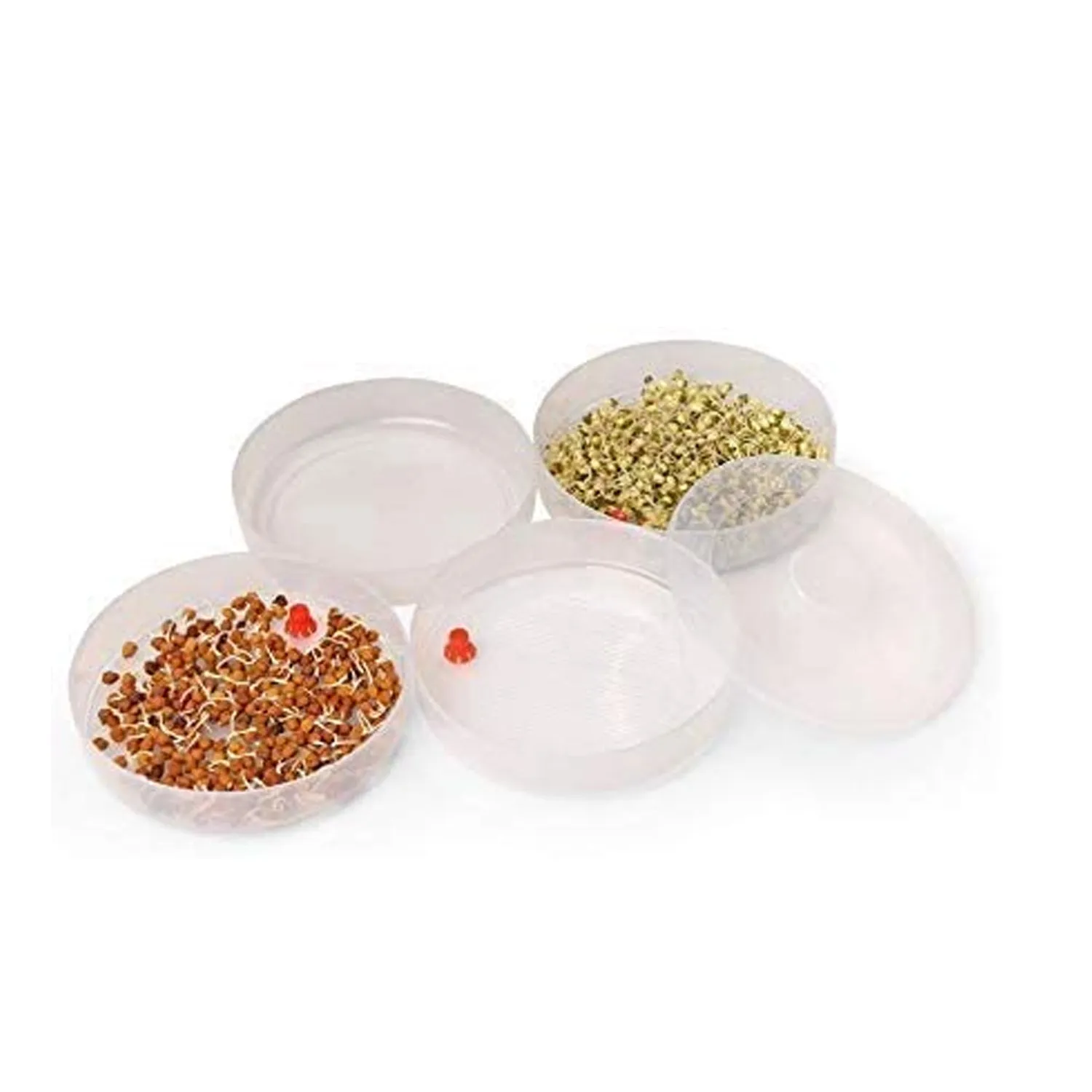 070 Plastic 4 Compartment Sprout Maker, White