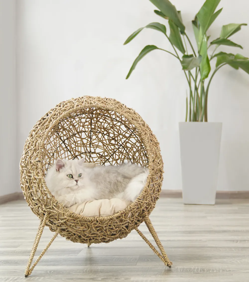 Bird Nest KITTY STAND CHAIR(Seagrass Woven basket/House/Cave/Perch/Plant Basket/furniture)