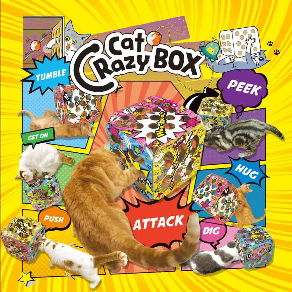CattyMan Cat Crazy Box Cat Toy