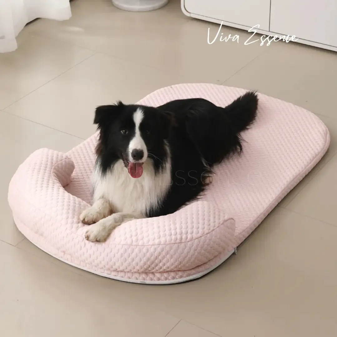 ChillBuddy Pet Cooling Bed: Cool Comfort Deluxe