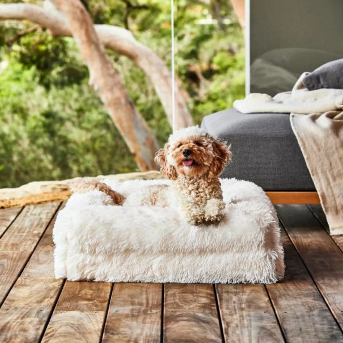 Dazy Dog Orthopaedic Memory Foam Dog Bed Cream Shag