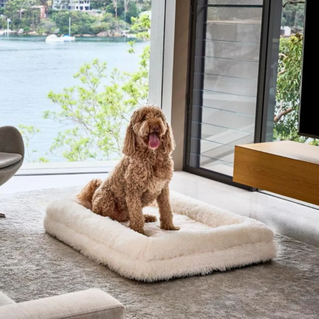 Dazy Dog Orthopaedic Memory Foam Dog Bed Cream Shag