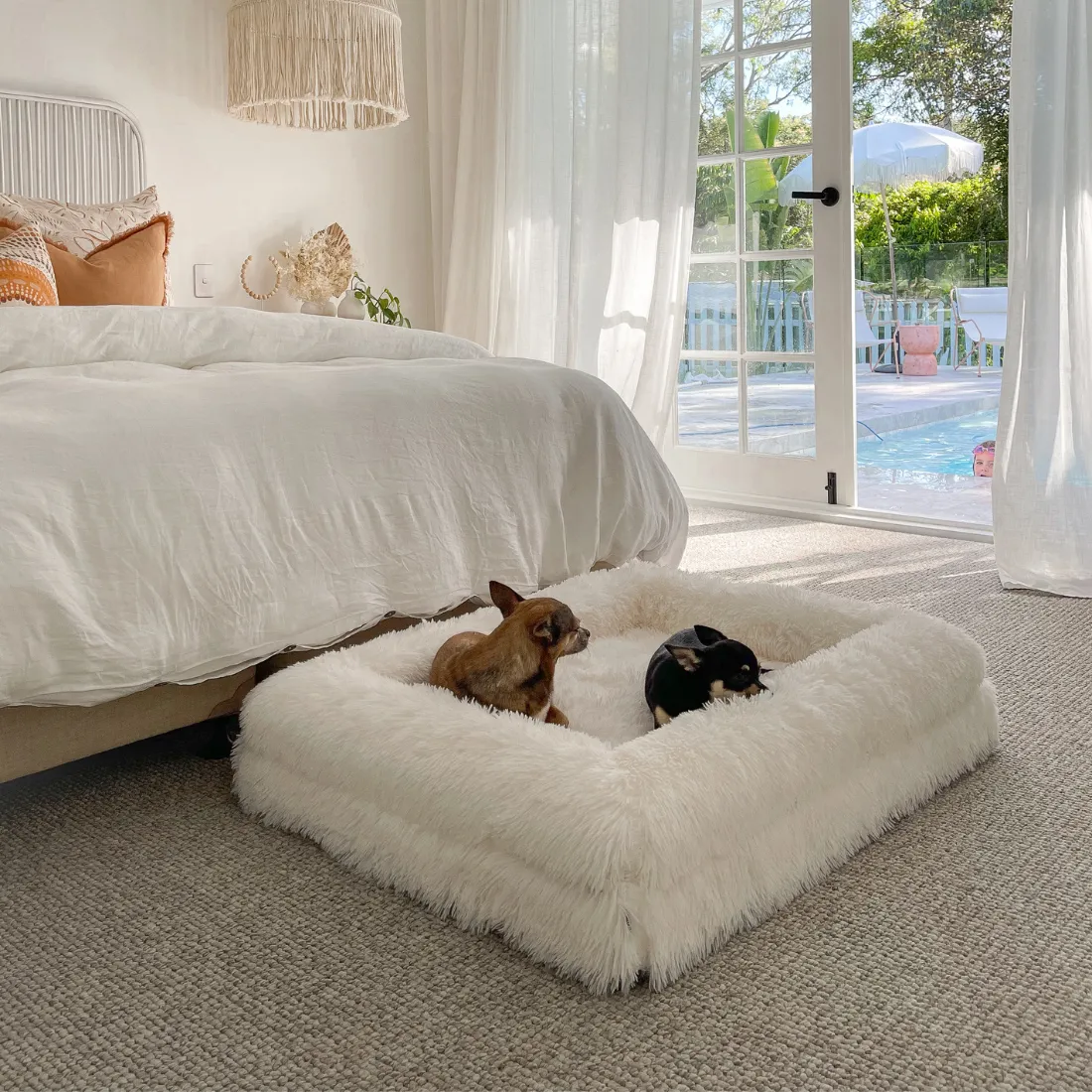 Dazy Dog Orthopaedic Memory Foam Dog Bed Cream Shag