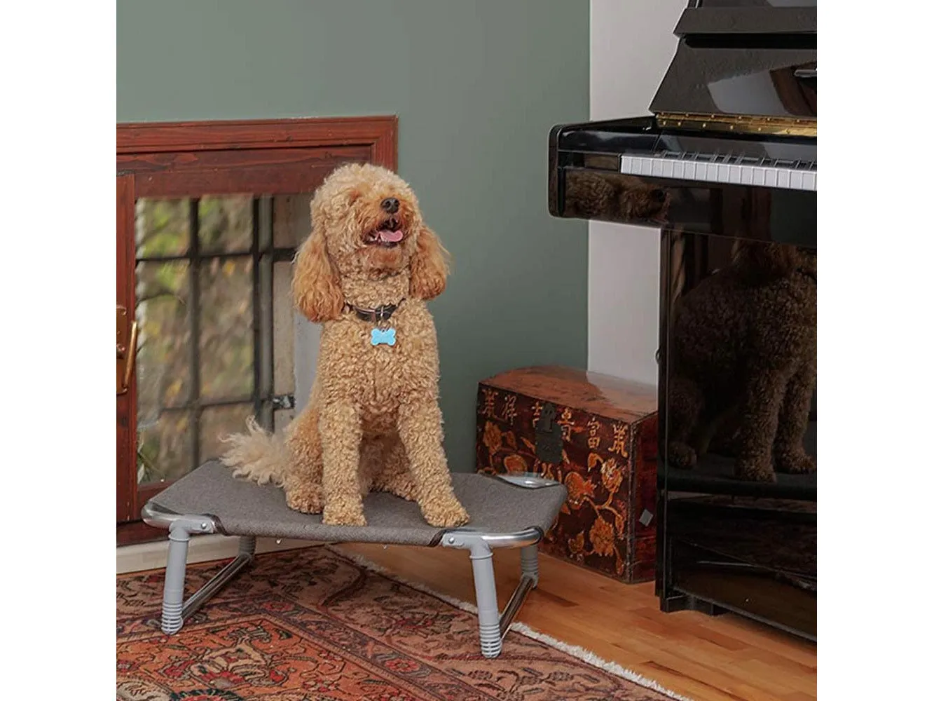 Dog Bed Dream 60 Grey