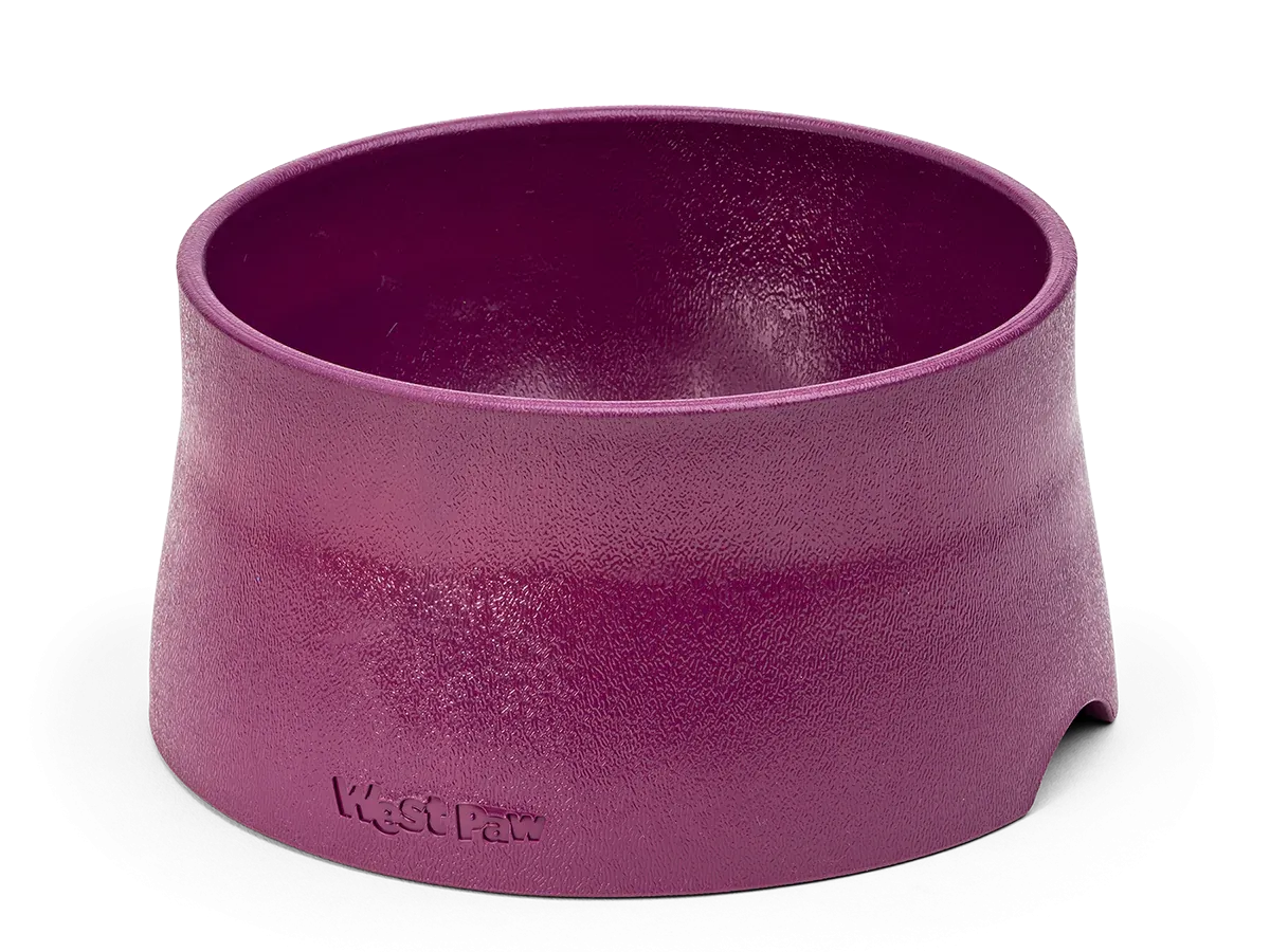 Dog Food and Drink Non-slip Eco Sustainable Bowl: Seaflex Tropic Red