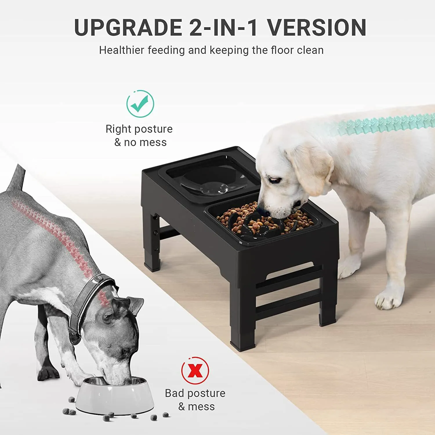 Elevated 2in1 Slow Feeder StressFree Pet Feeding