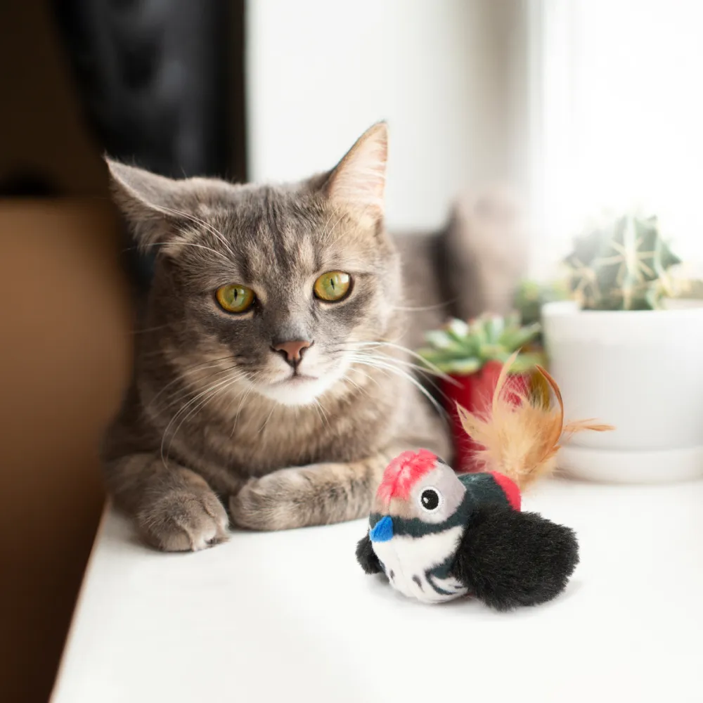 Fofos Black Bird with Catnip Balls Interactive Toy for Cats (Black)