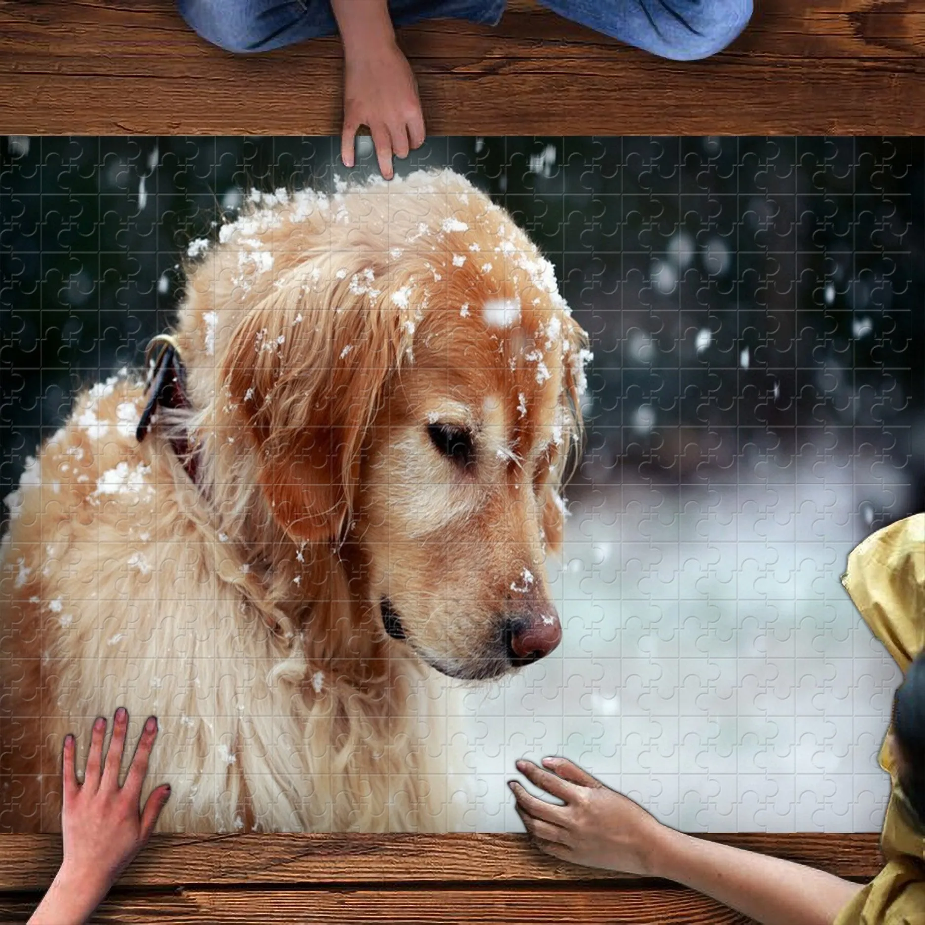 Golden Retriever 1000-Piece Puzzle