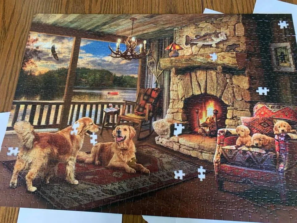 Golden Retriever 1000-Piece Puzzle