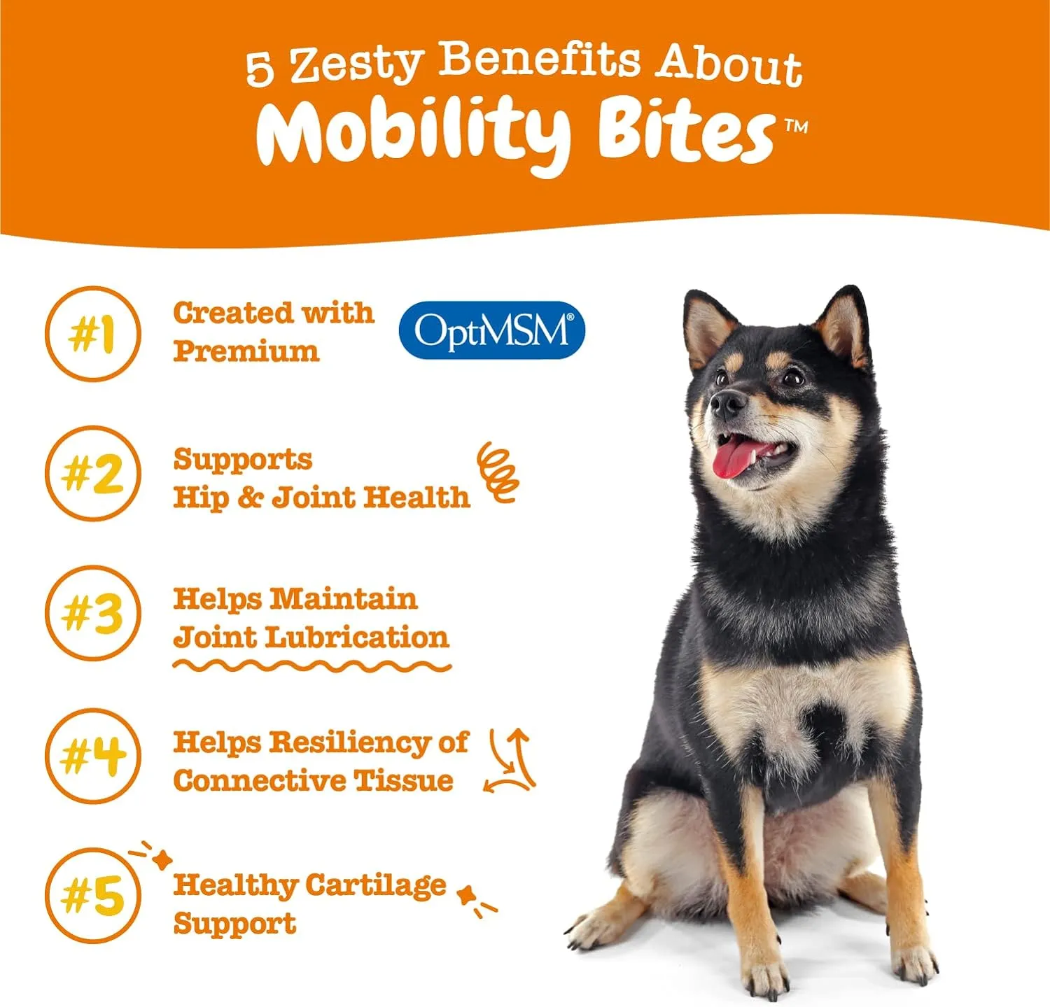 Mobility 3-Pack for Dogs