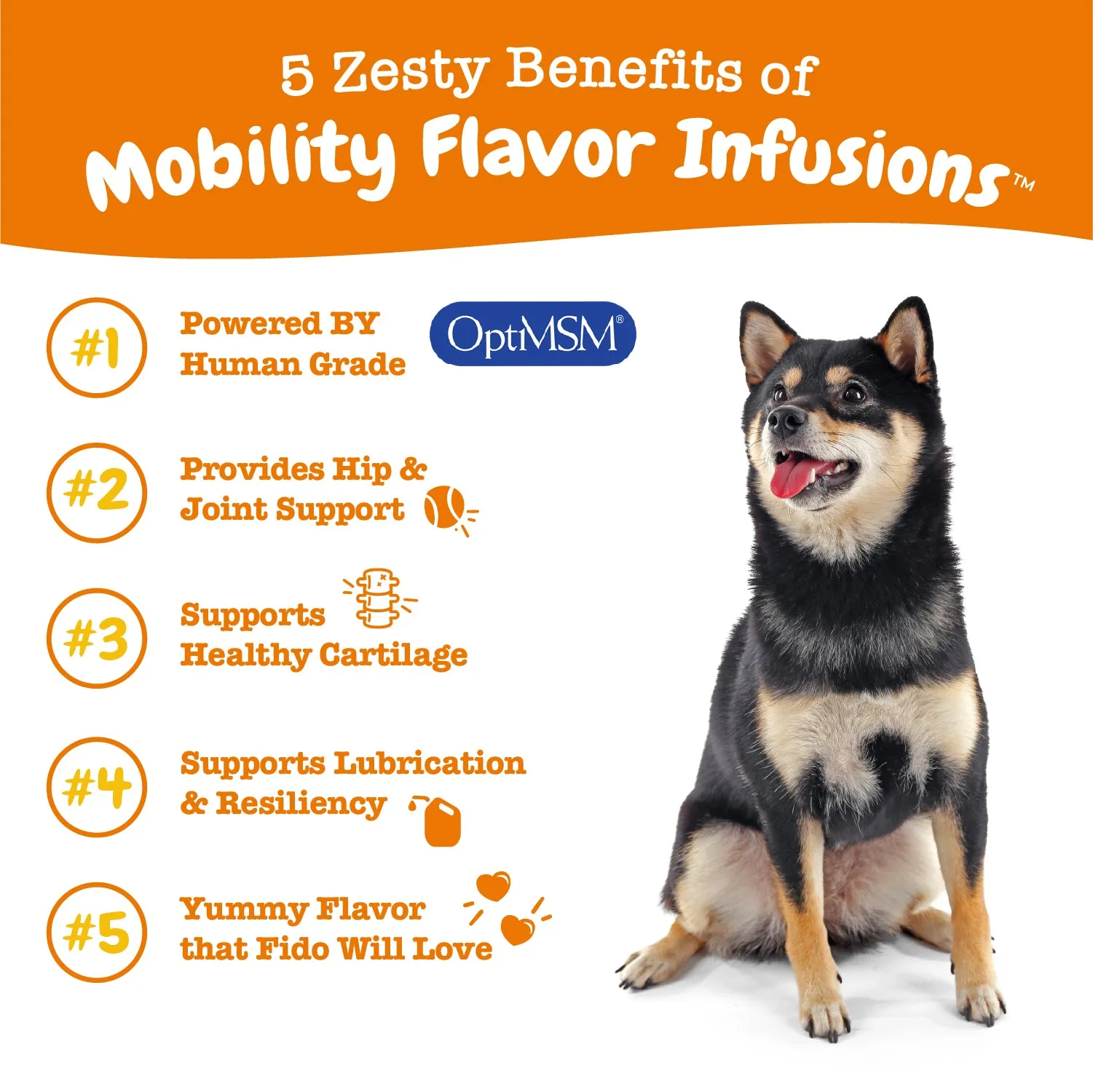 Mobility 3-Pack for Dogs