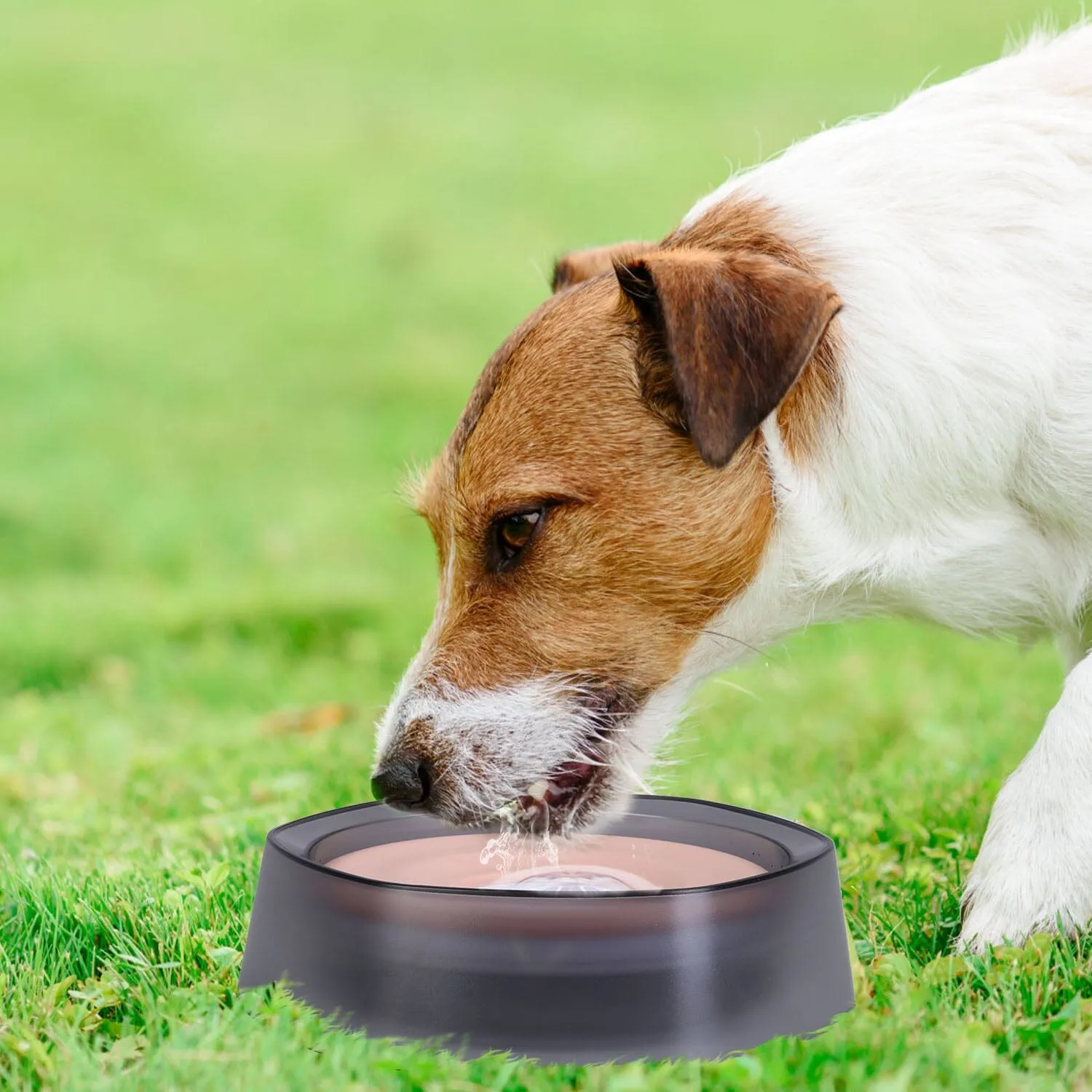 No Spill Dog Cat Water Bowl Spill Proof Slow Water Feeder