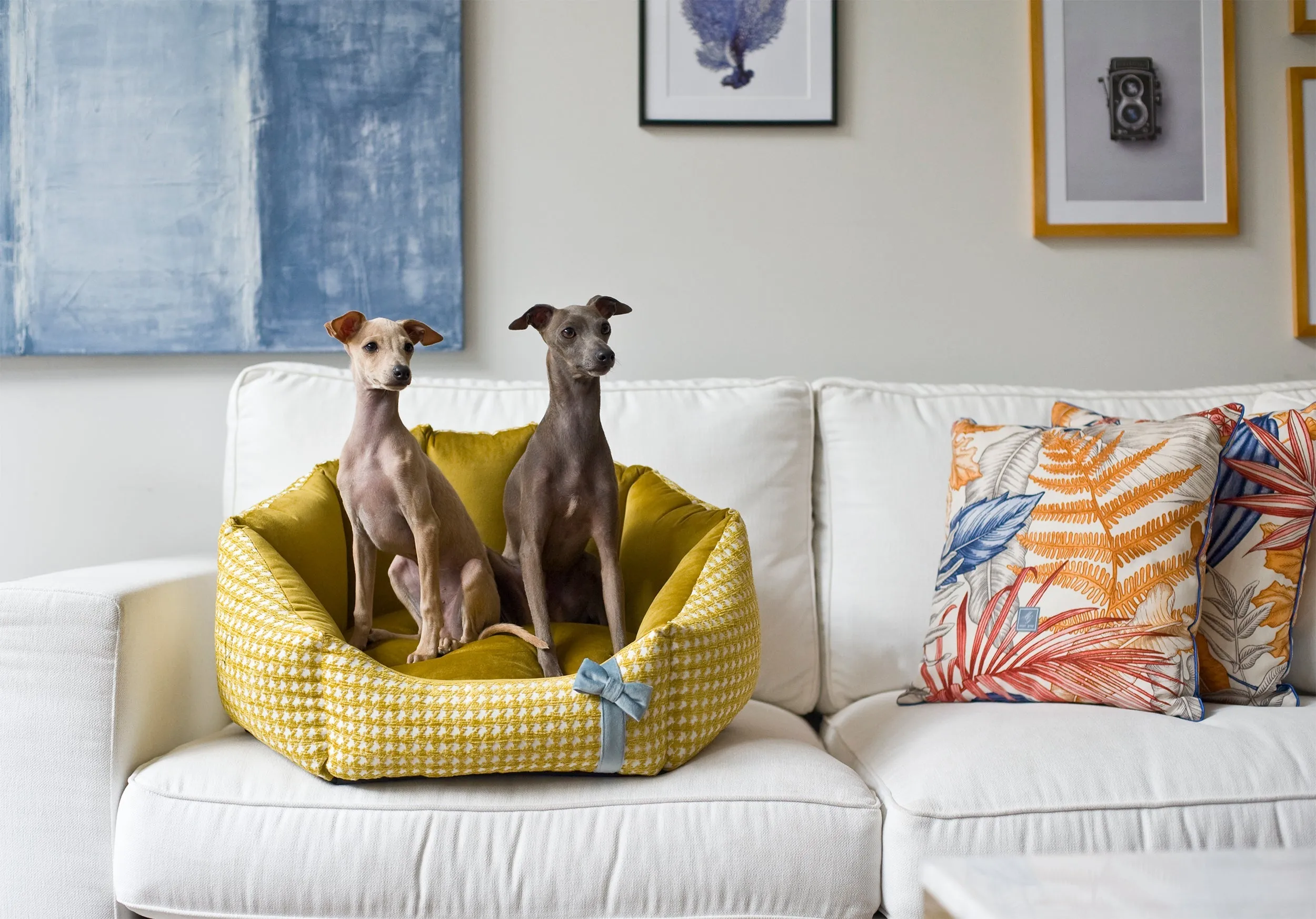 Oh Charlie Round Dog Bed Glamour