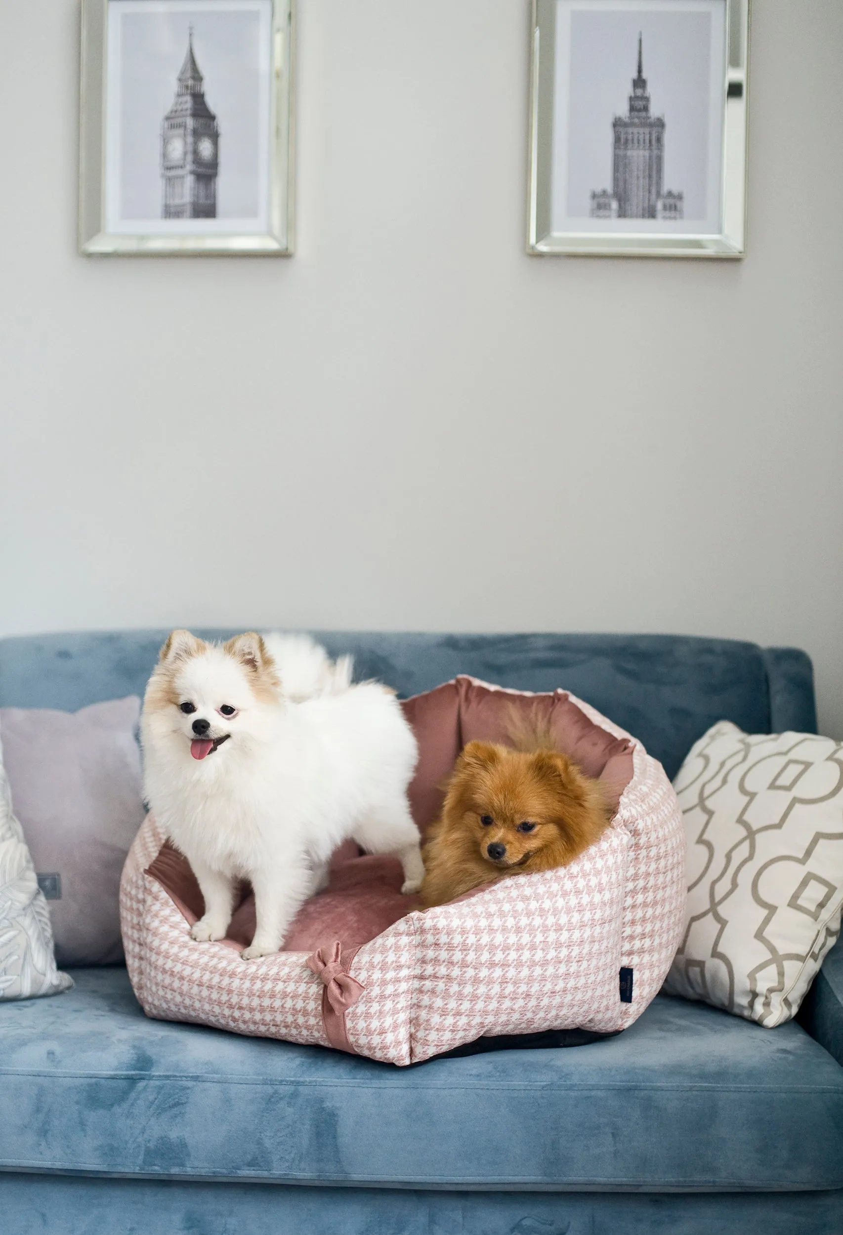Oh Charlie Round Dog Bed Glamour