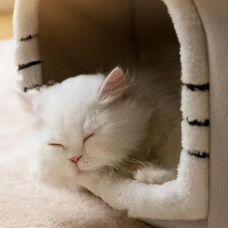 Pat and Pet Emporium | Pet Beds | Indoor Foldable Pet House