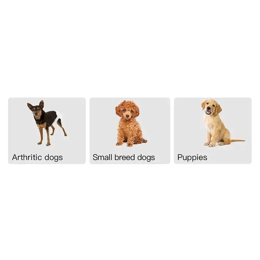 Pat and Pet Emporium | Pet Home Products | Stairs for Small Pet