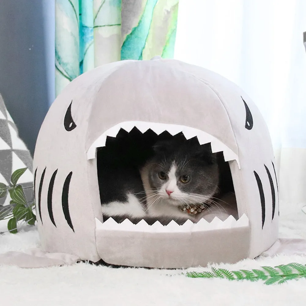 Pet House (Cats or Small Dogs): Shark Motive