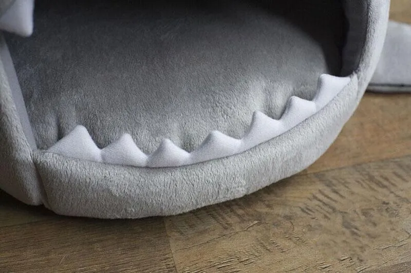 Shark's place