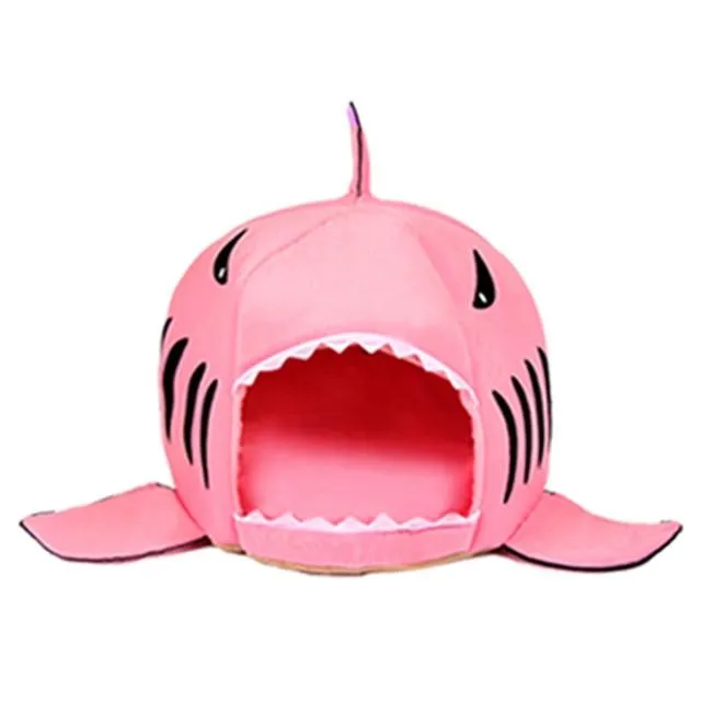 Shark's place