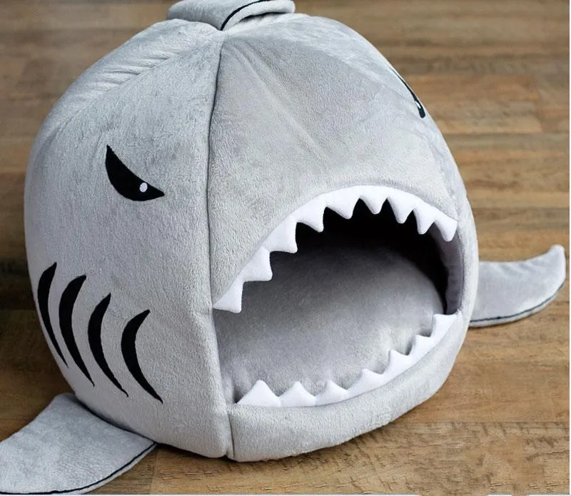 Shark's place