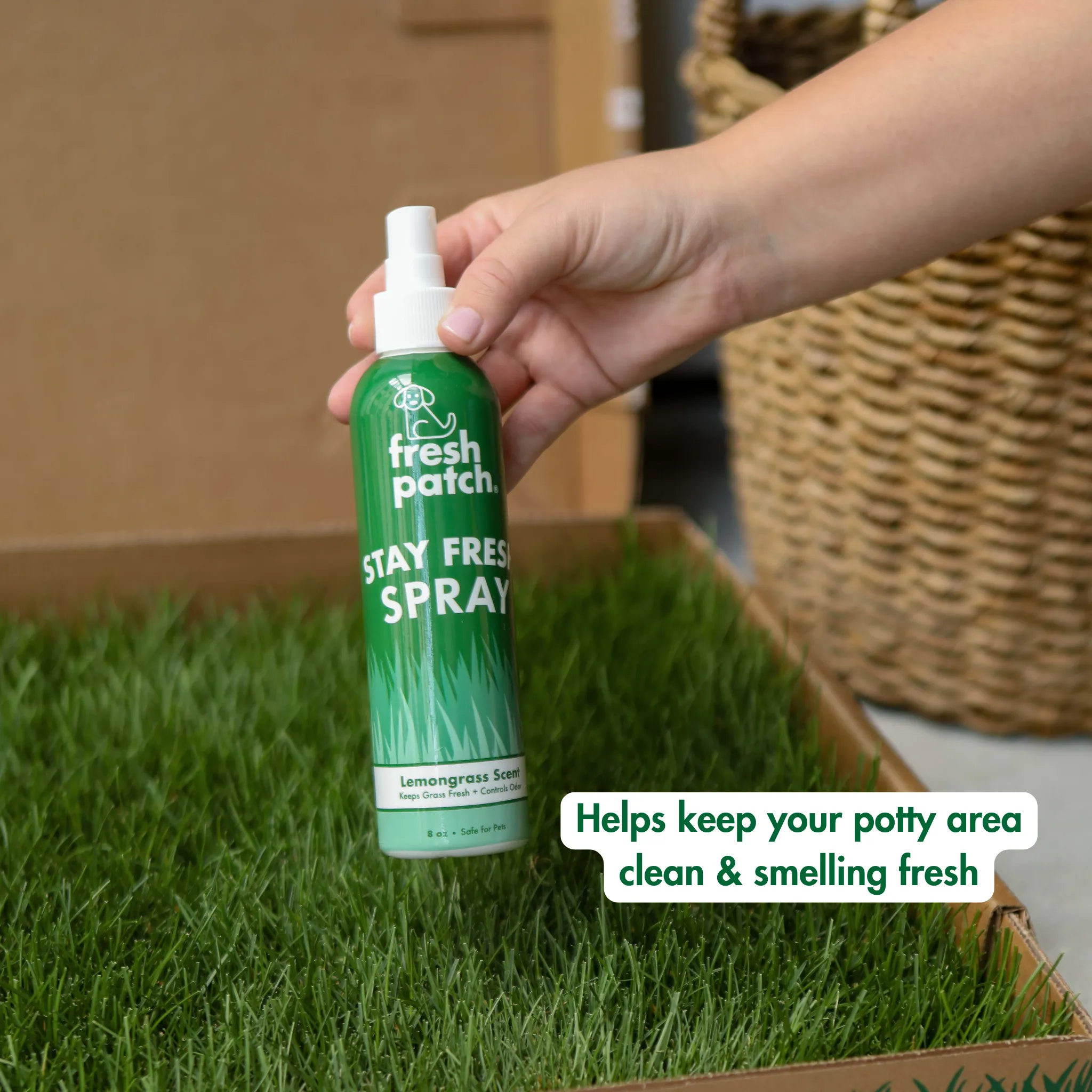 STAY FRESH Dog Potty Spray