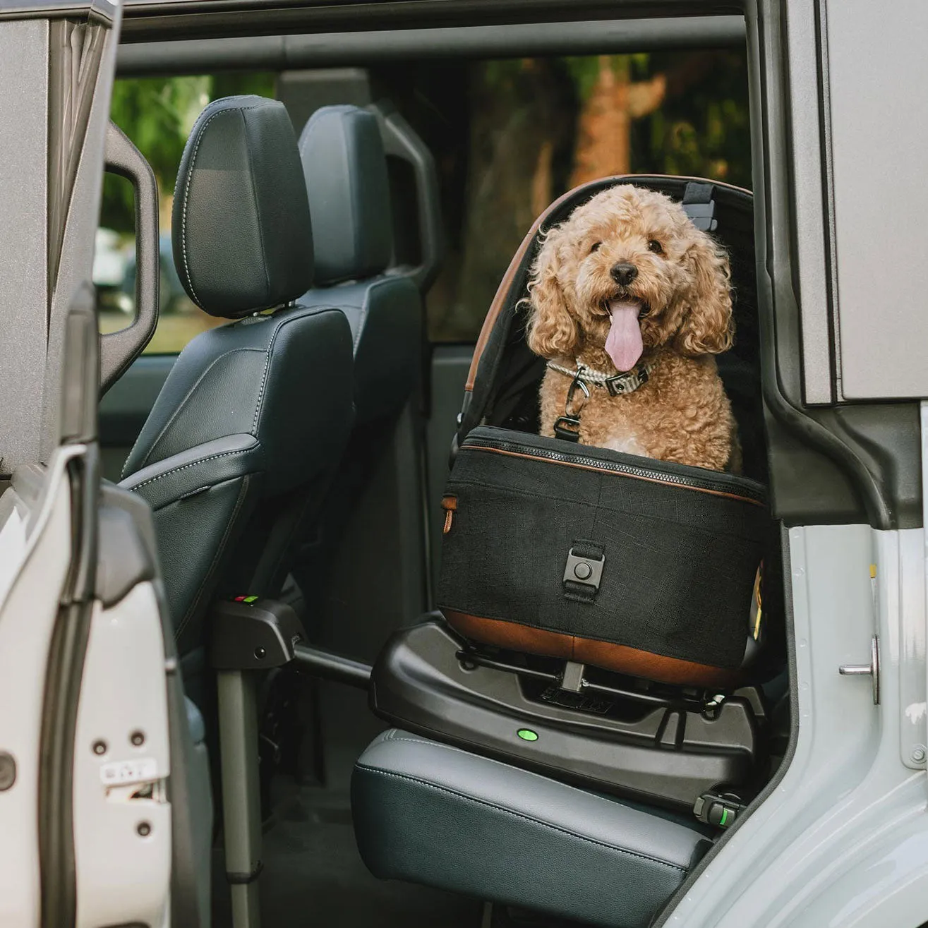 TAVO Pets Maeve Pet Car Seat - Medium Rigid