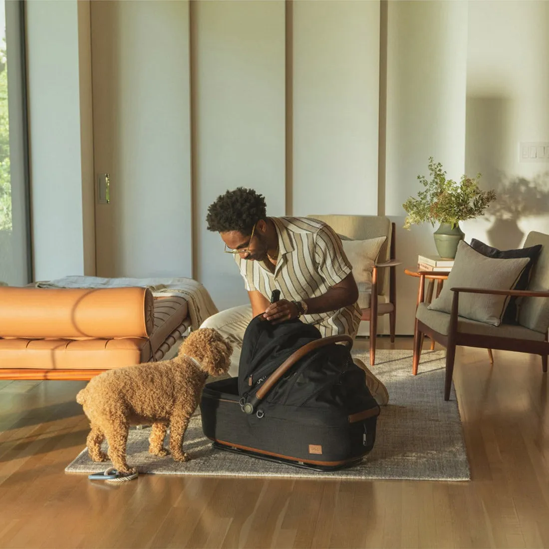 TAVO Pets Maeve Pet Car Seat - Medium Rigid