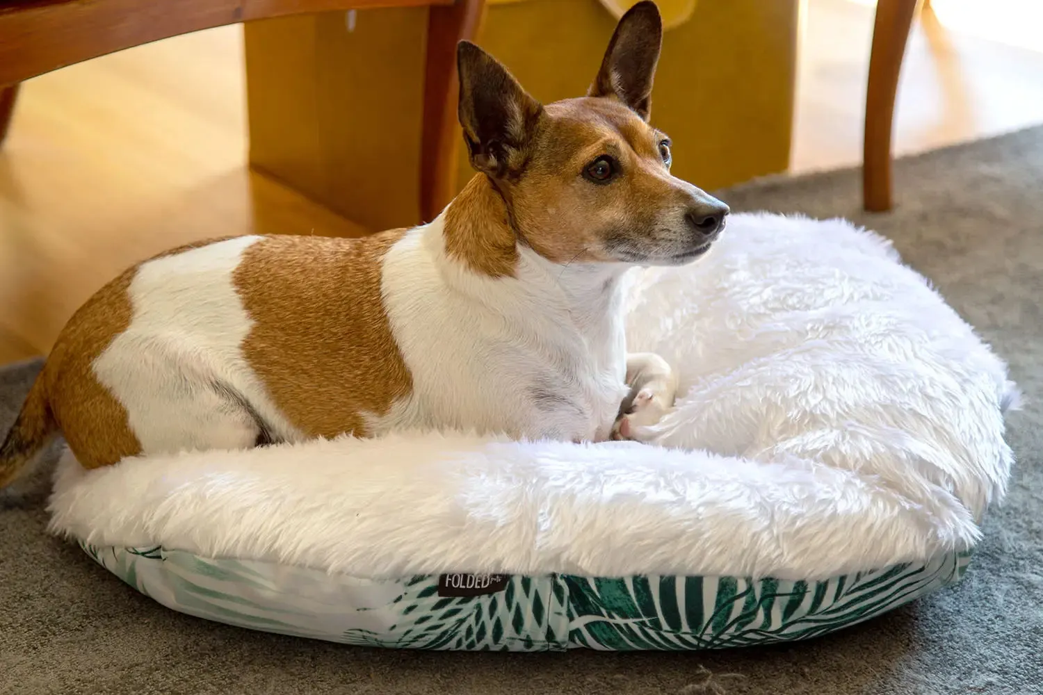 The Folded Pillow Dog Bed