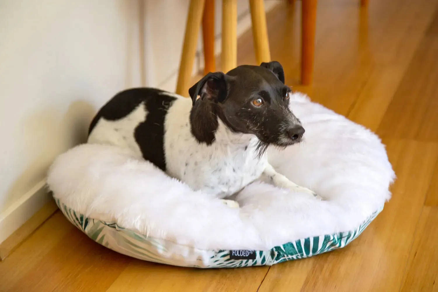 The Folded Pillow Dog Bed