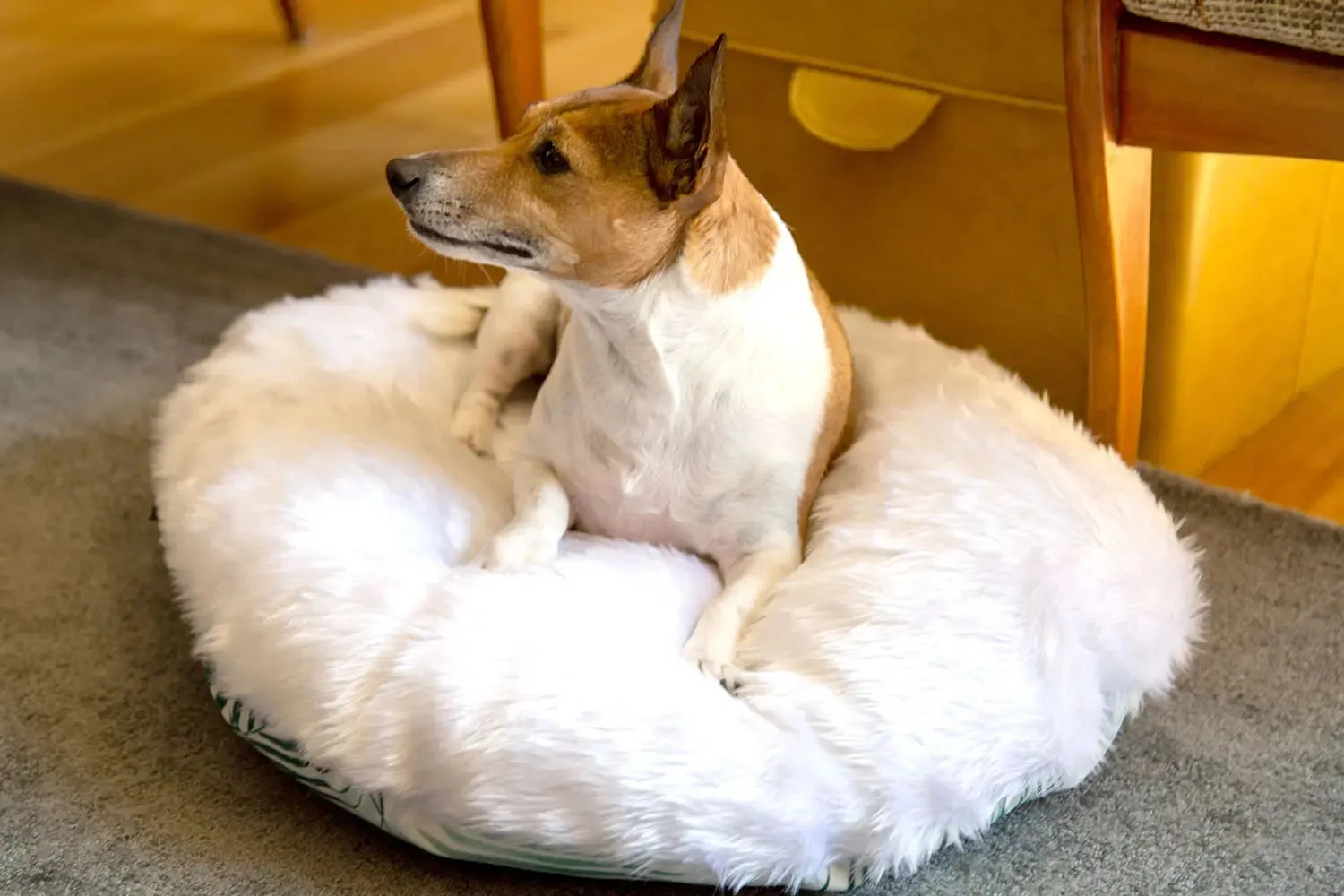 The Folded Pillow Dog Bed