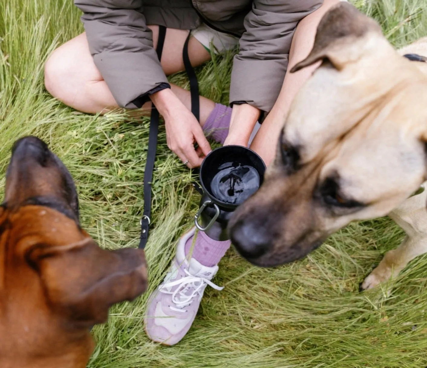 Travel Water Bowl Flip Top Water Bottle for Dogs