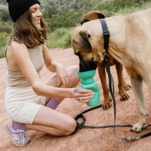 Travel Water Bowl Flip Top Water Bottle for Dogs