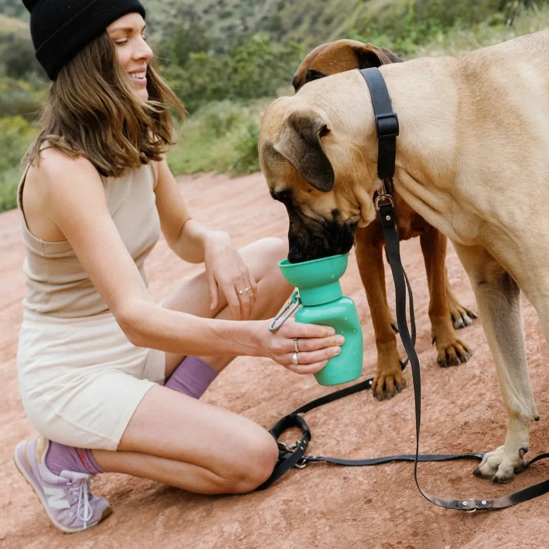 Travel Water Bowl Flip Top Water Bottle for Dogs