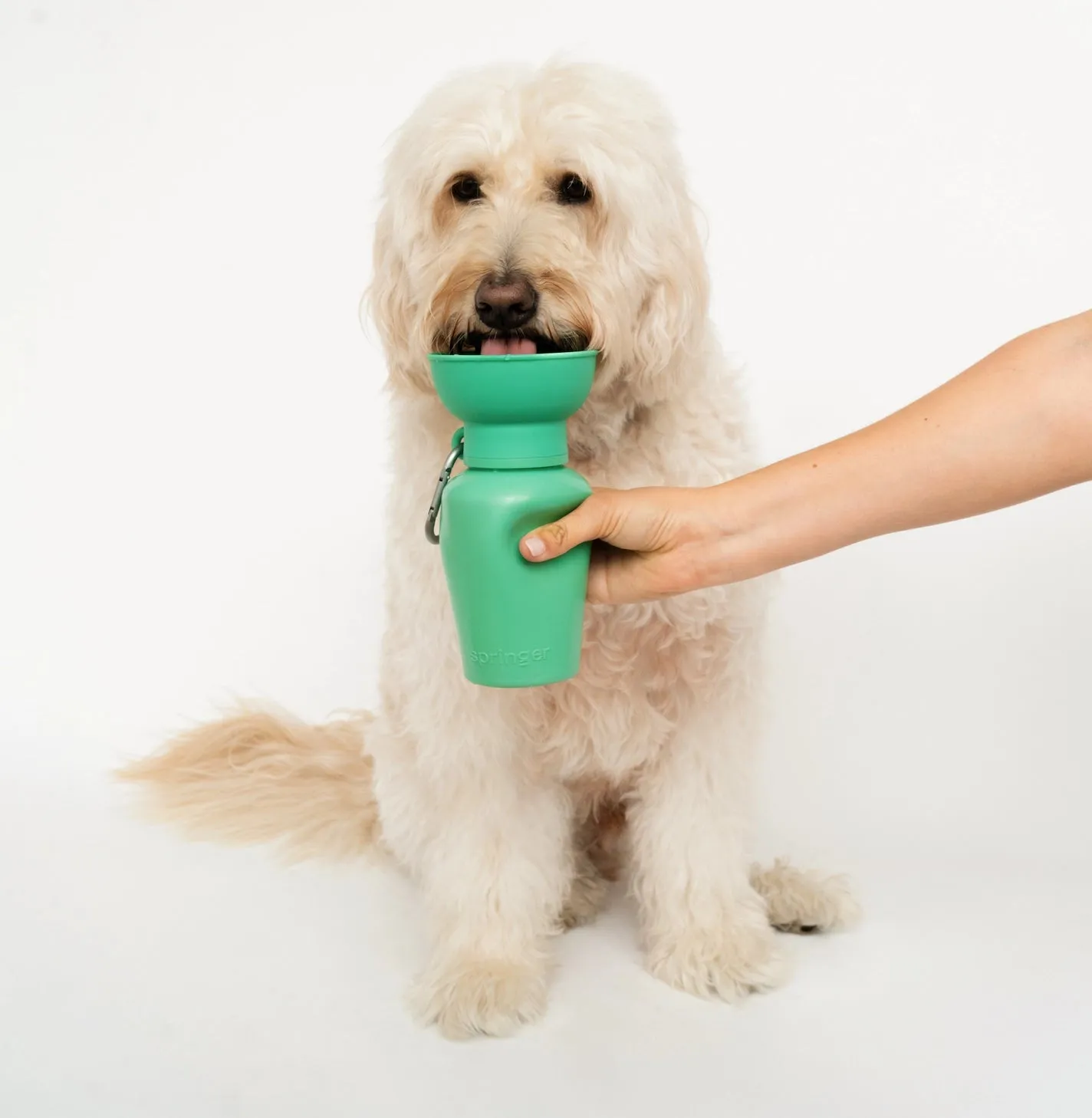 Travel Water Bowl Flip Top Water Bottle for Dogs